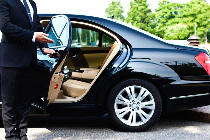 Luxury Transfer From the Fiumicino Airport to Rome - Vehicle Amenities and Services