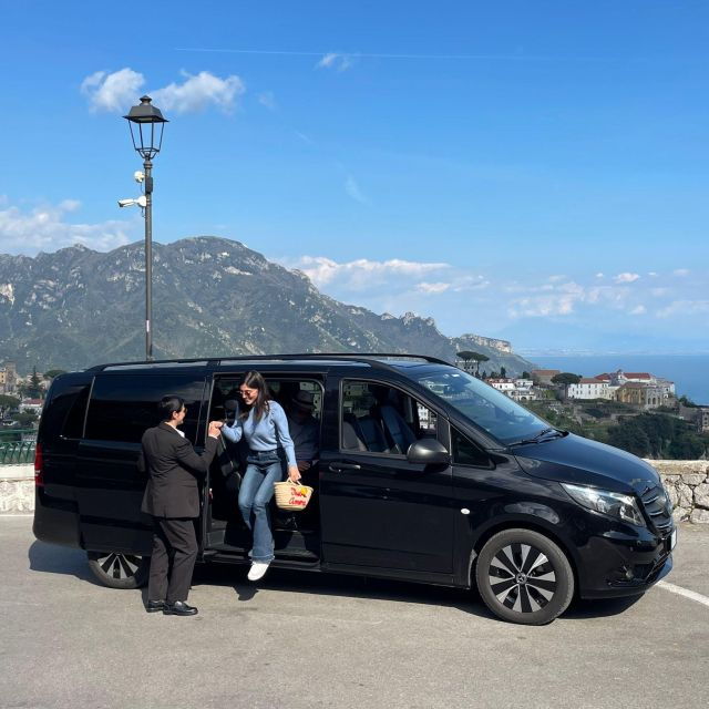 Luxury Van Transfers: Naples Airport - Service Overview
