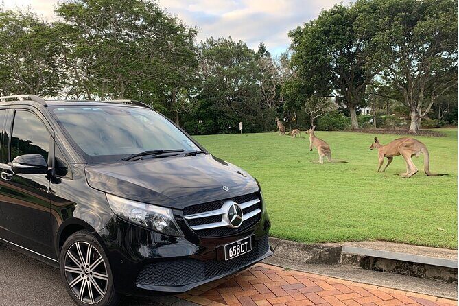 Luxury Vehicle Transfers Gold Coast Airport to Gold Coast Hotels - Good To Know