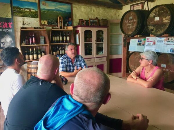 Luxury Wine Tasting at the Czar Pico Winery - Inclusions and Logistics