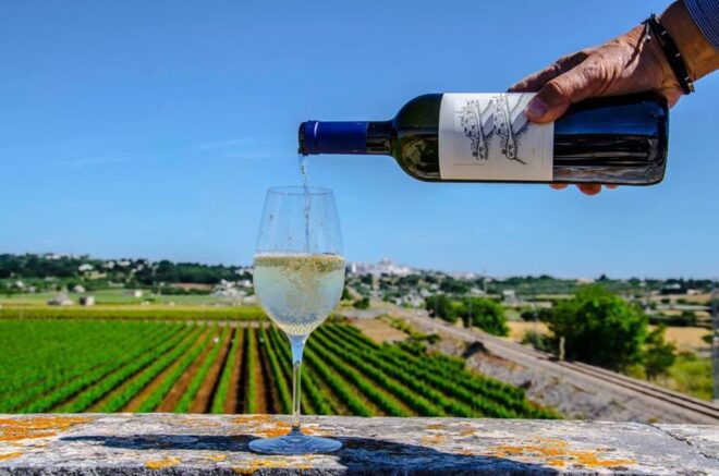 Luxury Wine Tasting in Valle Ditria - Includes