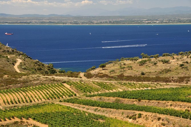Luxury Wine Tour, Cap De Creus Natural Park - Cadaqués - Contact and Terms