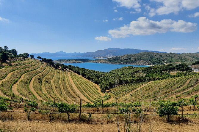 Luxury Wine Tour, Cap De Creus Natural Park - Cadaqués - Common Questions