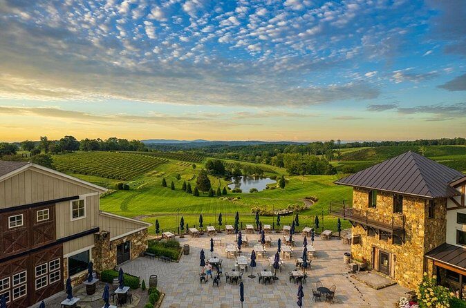 Luxury Wine Tour in Washington DC to Loudoun County Vineyards - Frequently Asked Questions