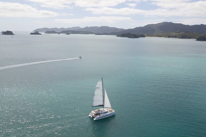 Luxury Yacht Cruise in the Bay of Islands - Safety Measures and Guidelines