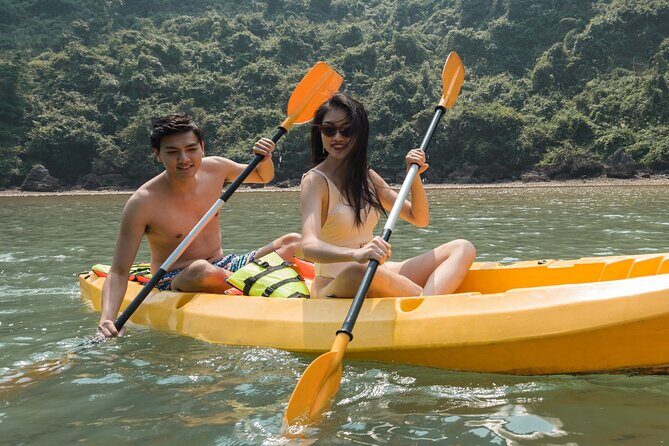 Luxury Yacht Day Trip Halong and Lan Ha Bay Catamaran - Overview of the Experience