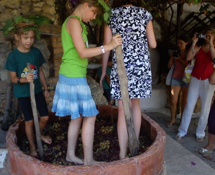 Lychnostatis Open Air Museum : Grape-Feast Every Wednesday - Experience Highlights