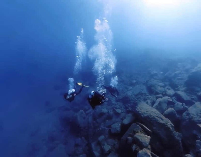 Lygaria Beach: Discover Scuba Diving Plus - Practical Details and Tips for Travelers