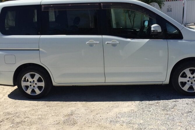 Lynden Pindling International Airport One-Way Private Transfer - Transportation Details