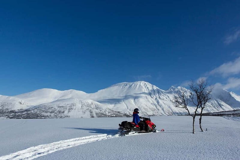 Lyngen Alps: Snowmobile Safari in the Arctic Wilderness - Who Will Love This Tour?