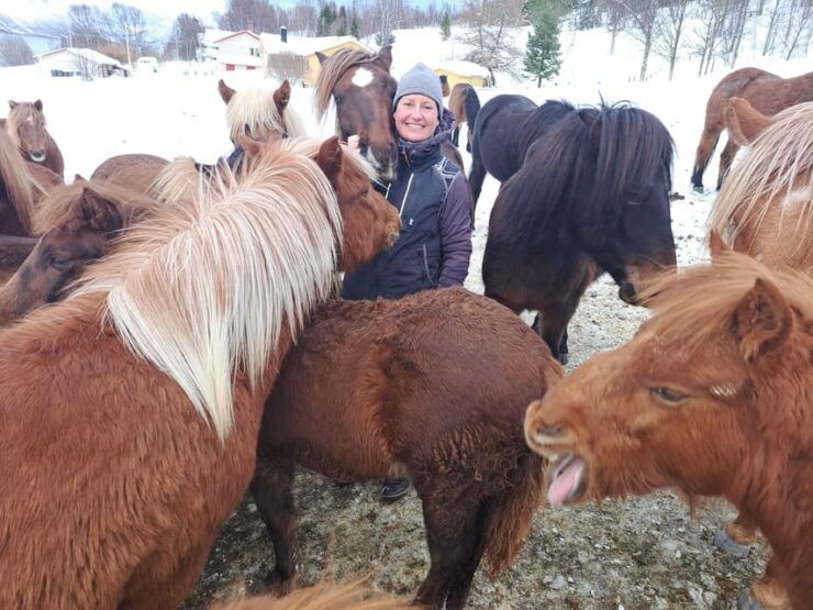 Lyngen Horseback Winter Riding Experience - Good To Know