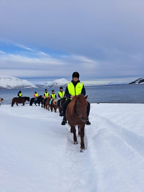 Lyngen Horseback Winter Riding Experience - What to Bring