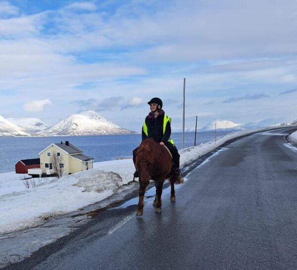 Lyngen Horseback Winter Riding Experience - Booking and Cancellation Policy