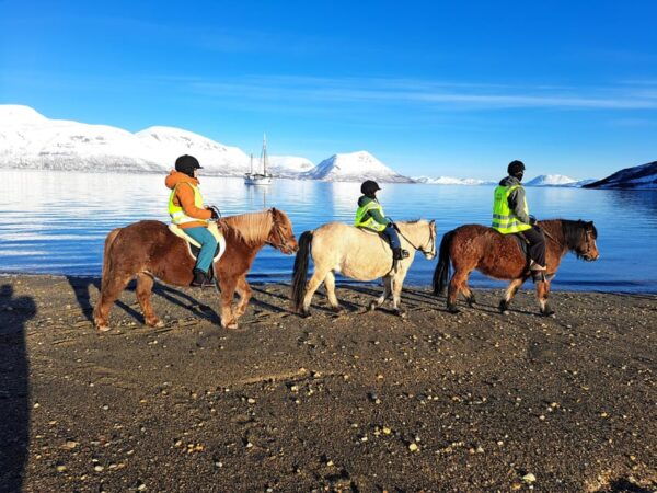 Lyngen Horseback Winter Riding Experience - Highlights and Unique Features