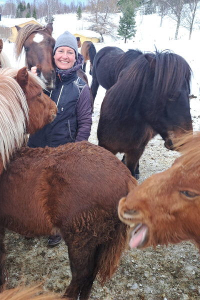 Lyngen Horseback Winter Riding Experience - Frequently Asked Questions
