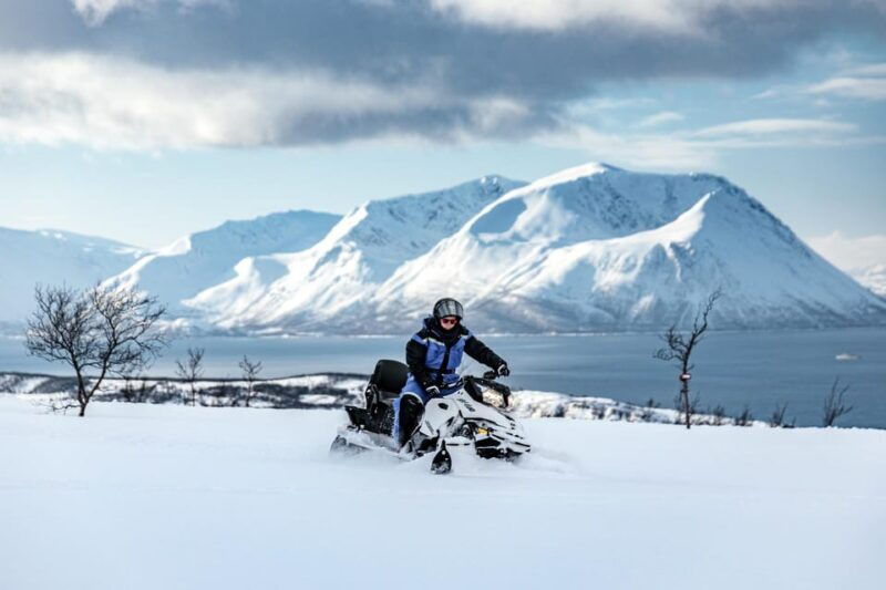 Lyngen: Snowmobile Safari with Lunch in seaside Restaurant - Good To Know