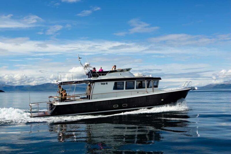 Lyngen: Whale Watching VIP Boat Tour with Lunch - Lyngen: Whale Watching VIP Boat Tour with Lunch – a Detailed Review