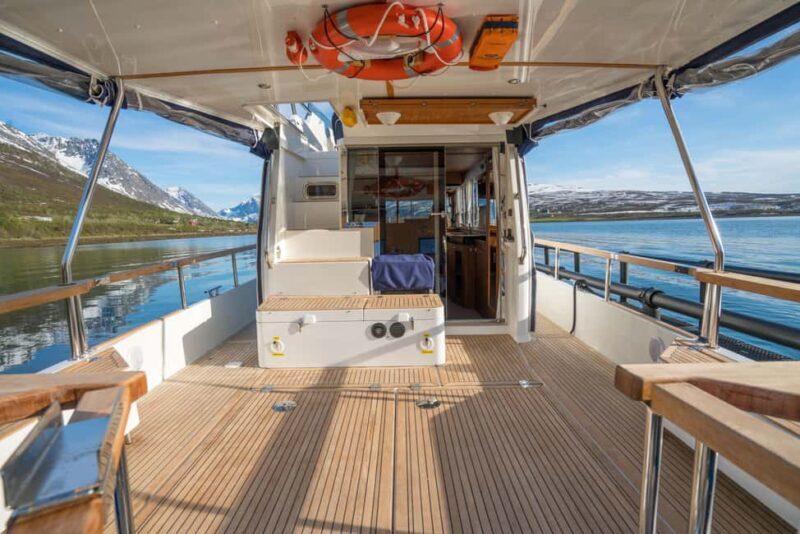 Lyngen: Whale Watching VIP Boat Tour with Lunch - Good To Know