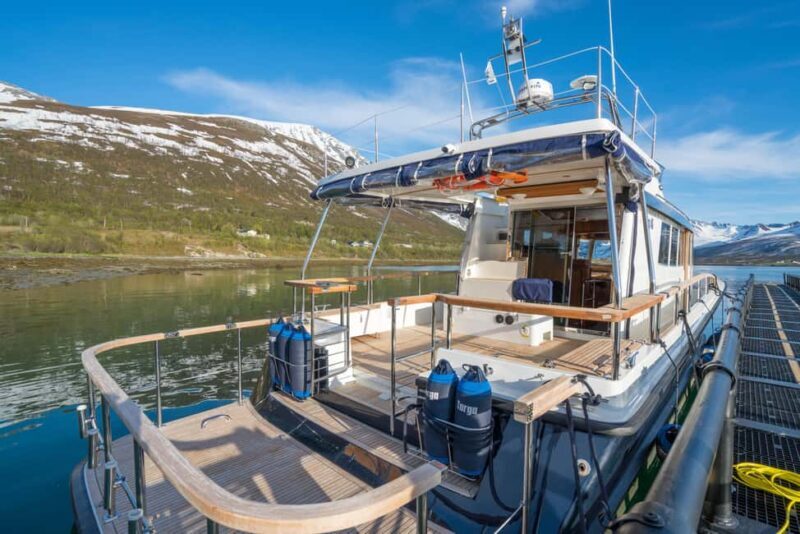 Lyngen: Whale Watching VIP Boat Tour with Lunch - FAQ