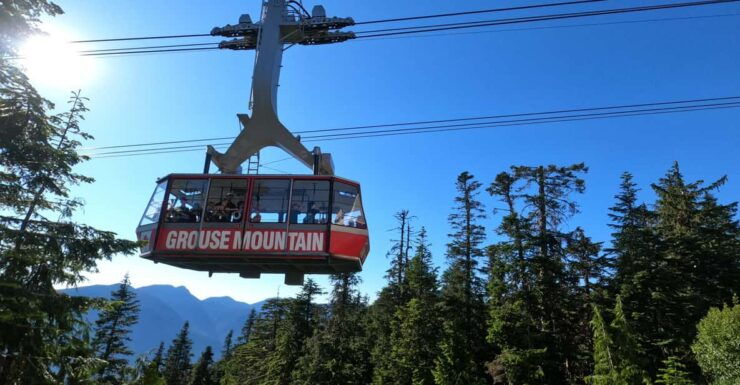Lynn Canyon, Suspension Bridge & Grouse Mount Private Tour - Good To Know