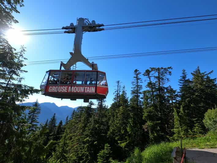 Lynn Canyon, Suspension Bridge & Grouse Mount Private Tour - Itinerary Highlights
