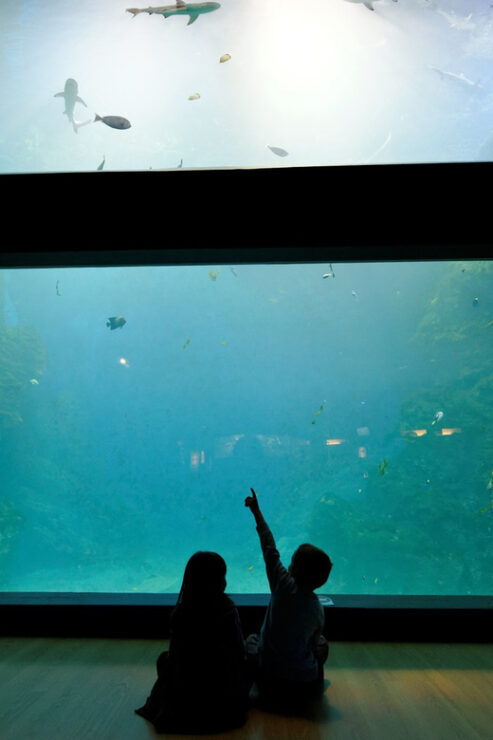 Lyon: Aquarium Entrance Ticket - Cancellation Policy