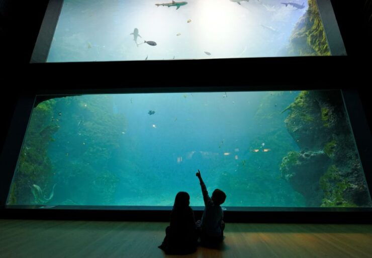 Lyon: Aquarium Entrance Ticket - Ticket Information