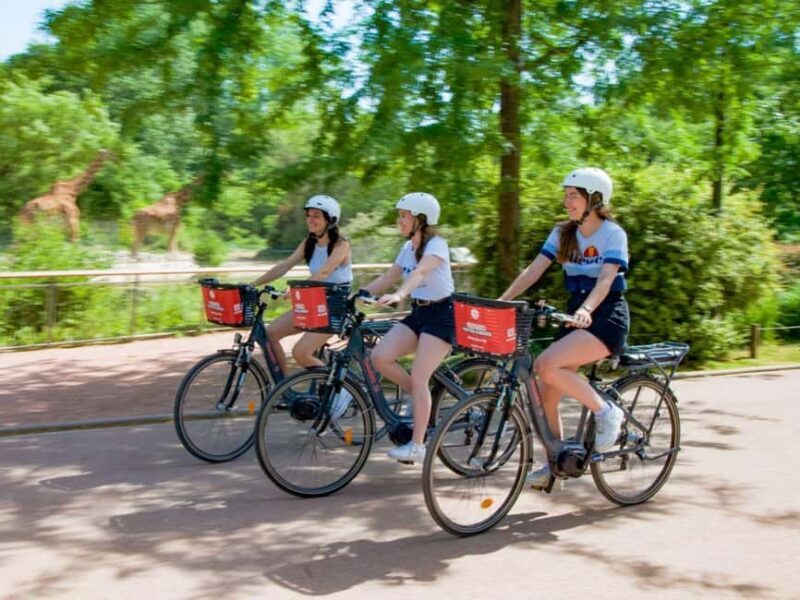 Lyon: Electric bike rental - 2 hours - Why You’ll Love This Electric Bike Rental Experience