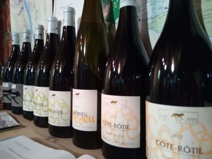 Lyon: Half-Day Côte-Rotie Wine Tasting Tour - Experience Highlights