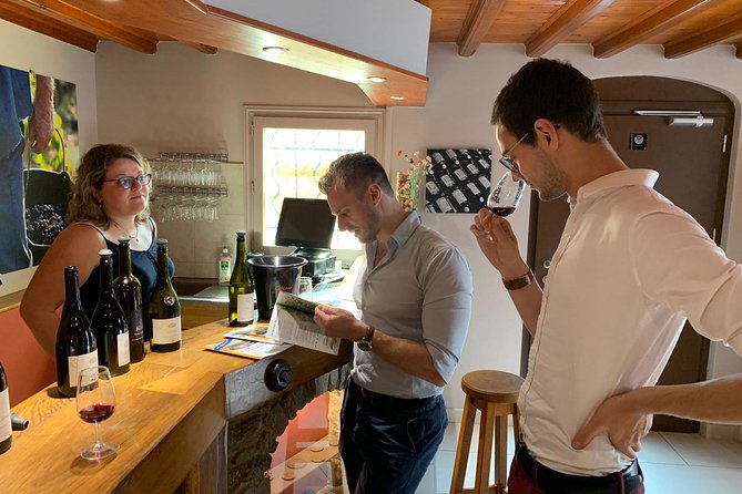 Lyon Local Wine Tasting - Inclusions