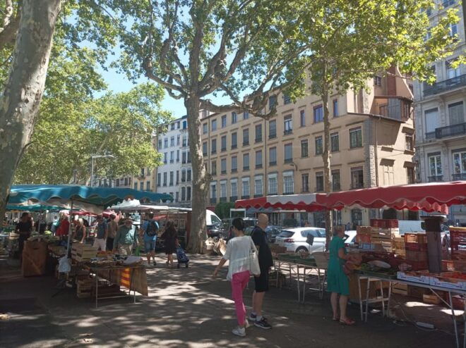 Lyon: Private Guided Tour With an Official Tour Guide! - Accessibility Features
