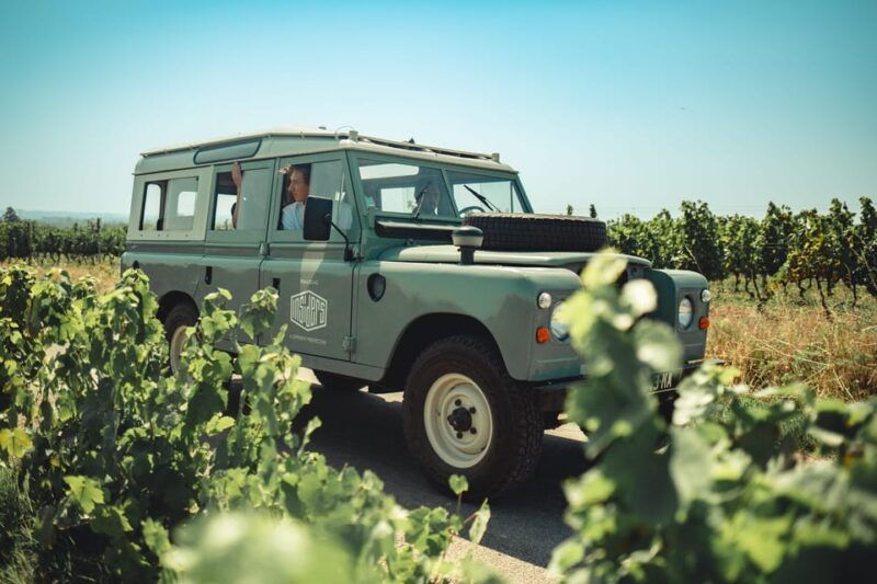 Lyon: Private Half Day Beaujolais Wine Tour by Defender - Cultural and Historical Sites