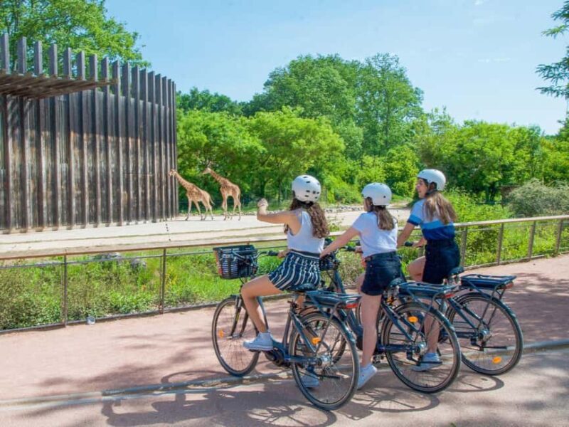 Lyon: Rent an electric bike for 2 hours - The Itinerary and What to Expect