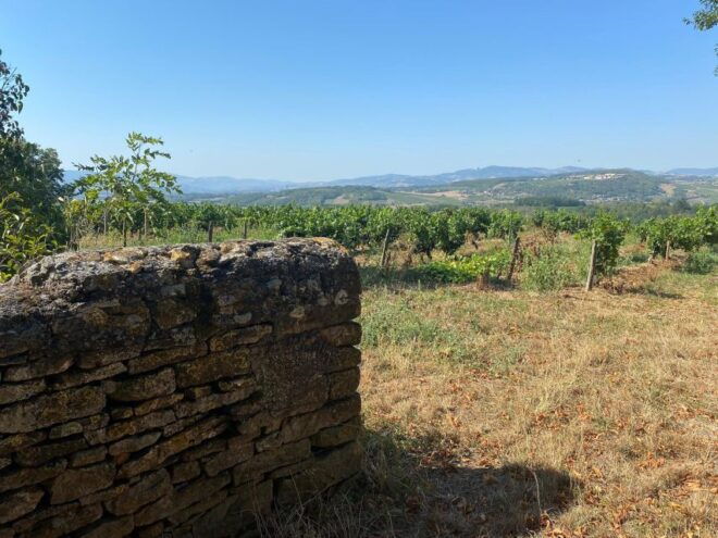 Lyon : Self-Guided Hike in the Beaujolais (Train & Picnic) - Itinerary