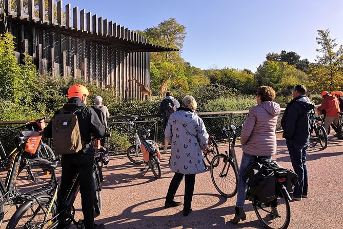 Lyon Small-Group Guided Electric Bike Tour With a Local Guide - Lowest Price Guarantee