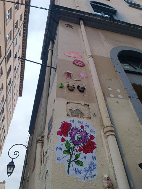 Lyon: Street Art in the Croix Rousse District - Tips for Capturing the Best Art