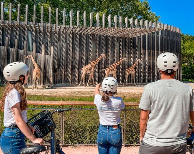 Lyon: The Grand Tour by Bike - Ride Along the Picturesque Rivers