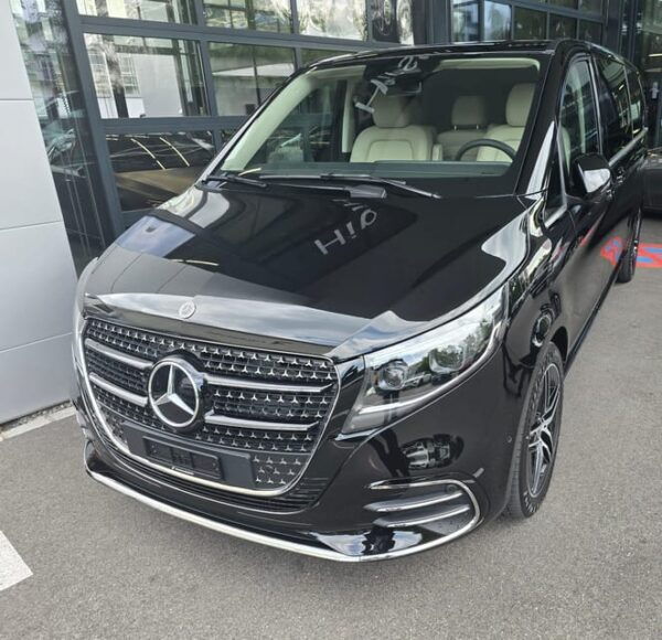 Lyon to Zermatt One-Way Private Transfer - Pricing and Inclusions