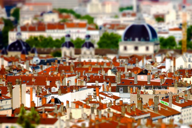 Lyon UNESCO: Private Walking Tour - Why Choose a Private Walking Tour?