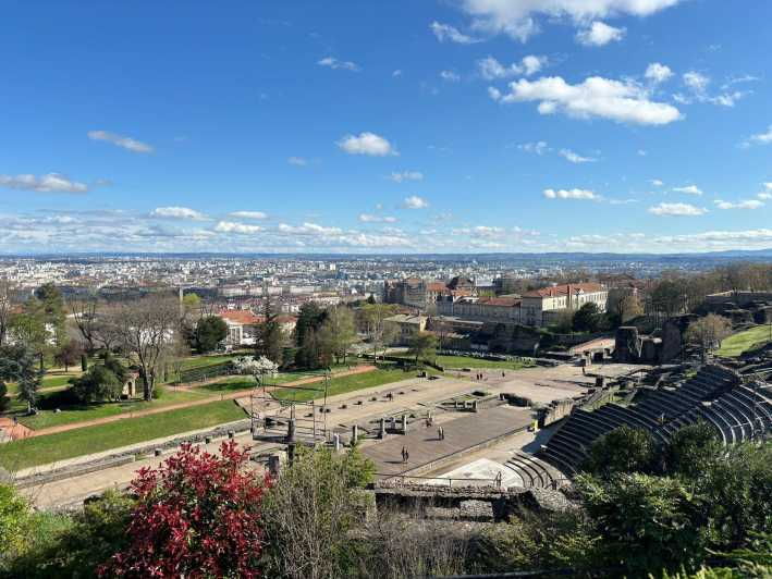 Lyon: Visit Lyon on a Private Half-Day Tour With a Driver - Key Points