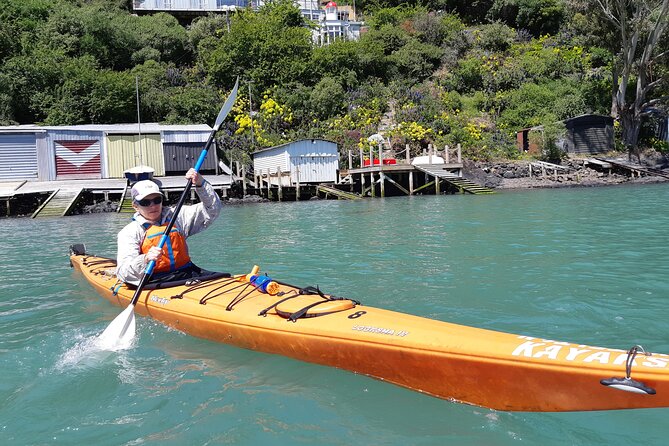Lyttelton Shore Excursion and Sea Kayaking Tour - Tour Highlights