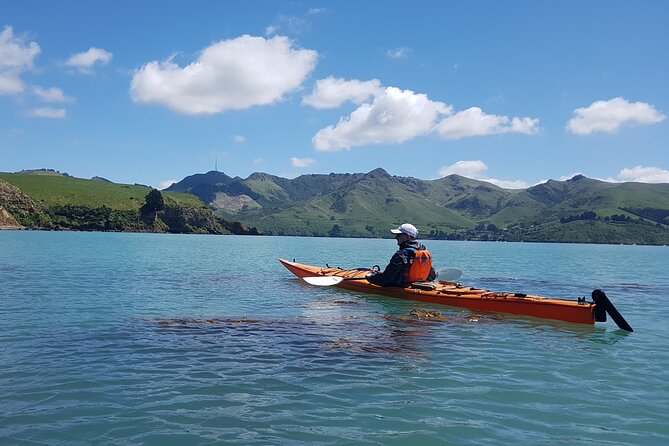 Lyttelton Shore Excursion and Sea Kayaking Tour - Tour Itinerary