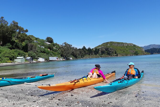 Lyttelton Shore Excursion and Sea Kayaking Tour - Common Questions