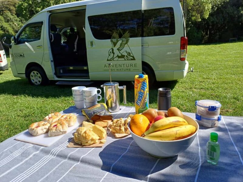 Lyttelton: Shore Excursion, Castle Hill & Inland Canterbury - In-Depth Look at the Itinerary