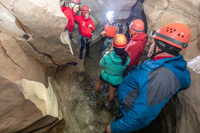 Lyttelton Shore Excursion, Caving and Castle Hill Scenic Drive - Contact and Pricing Information