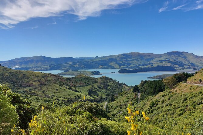 Lyttelton Shore Excursion: Christchurch Sights With Willowbank Wildlife Reserve - Highlights of the Tour