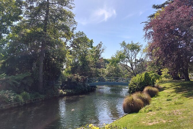 Lyttelton Shore Excursion: Christchurch Sights With Willowbank Wildlife Reserve - Traveler Feedback and Reviews