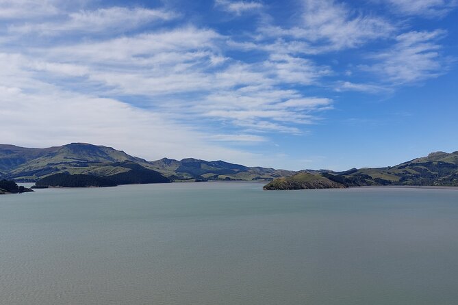 Lyttelton Shore Excursion: Christchurch Sightseeing With Antarctic Center - Meeting Instructions and Cancellation Policy