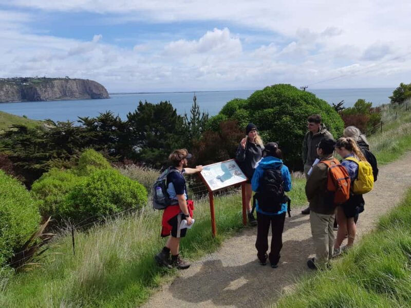 Lyttelton: Shore Excursion, Godley Head, Guided Walk - Good To Know