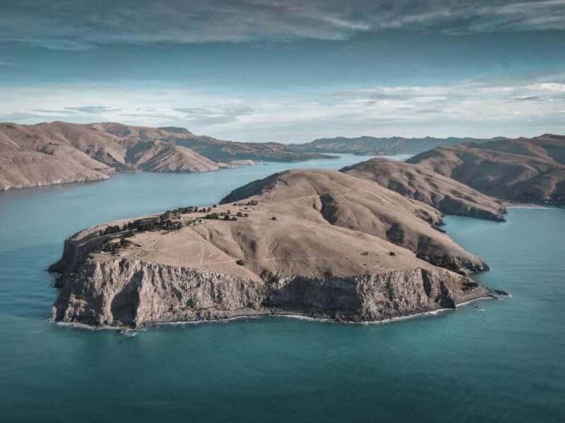Lyttelton: Shore Excursion, Godley Head, Guided Walk - Scenic Drive and Morning Tea at Sumner Beach